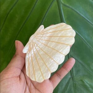 Brand New Shell-Shaped Hair Clip